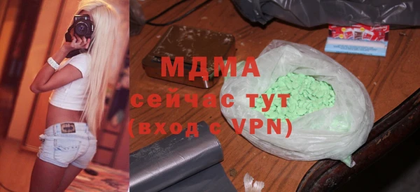 индика Зеленодольск