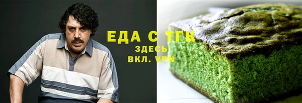 индика Зеленодольск