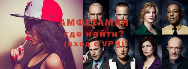 индика Зеленодольск