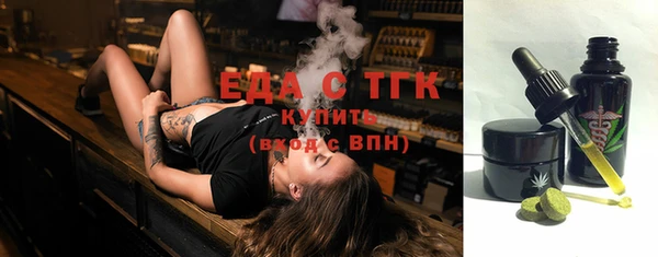 индика Зеленодольск