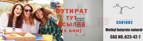 индика Зеленодольск