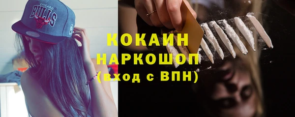 индика Зеленодольск