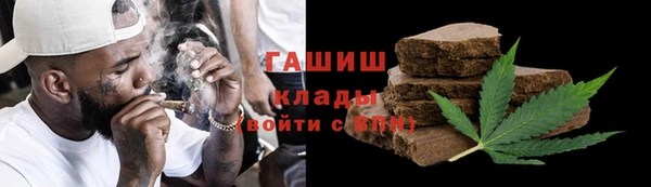 индика Зеленодольск
