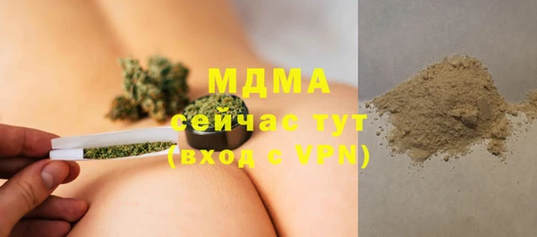 индика Зеленодольск