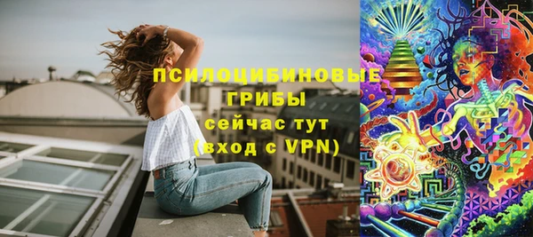 ГАЛЛЮЦИНОГЕННЫЕ ГРИБЫ Зеленокумск