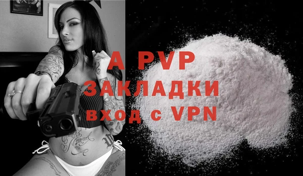 индика Зеленодольск