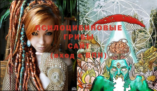 ГАЛЛЮЦИНОГЕННЫЕ ГРИБЫ Зеленокумск
