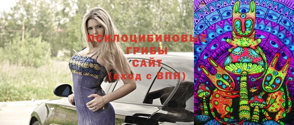 индика Зеленодольск
