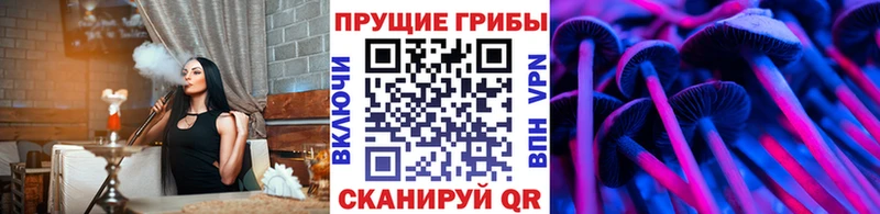 Купить  Петровск  Галлюциногенные грибы мицелий 
